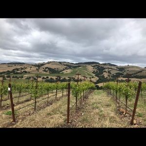 Meet your Posher, Christy